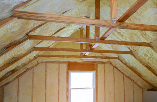Best Insulation Installation Services in Ripley, OH